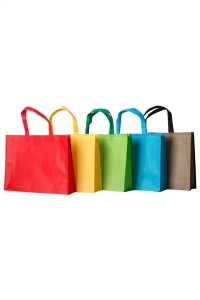 SKEPB007  custom-made green bag design non-woven green bag shopping bag green bag center side view